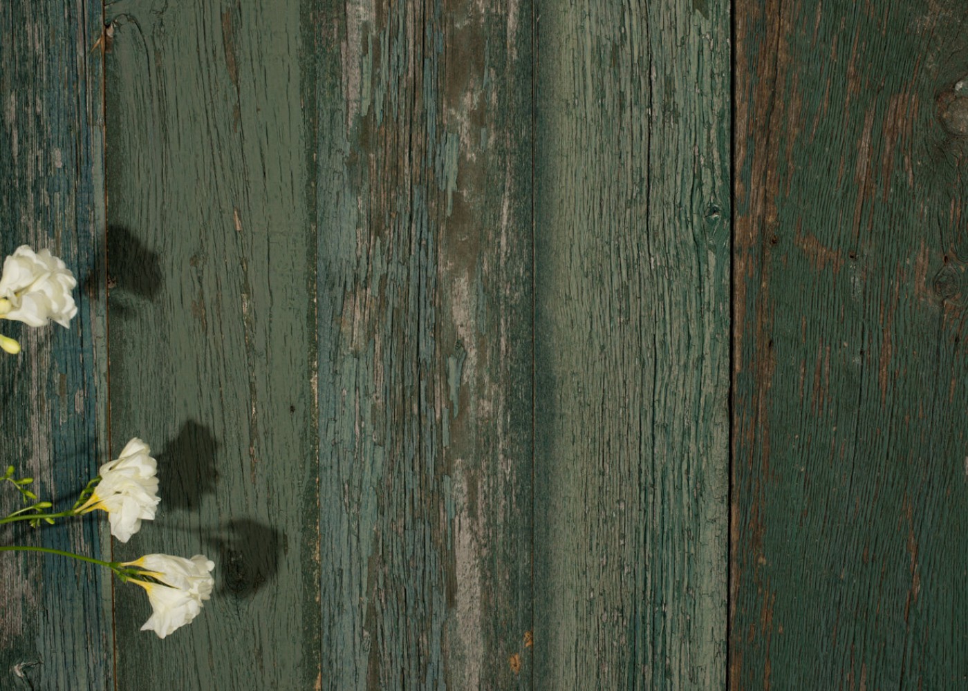 Bardage Monolame Bois Us Chant Ancien Campagne Vieilli Peinture D' Origine Vert Léger - Fsc (stock Limité) 15-26x100-200x1200-1800