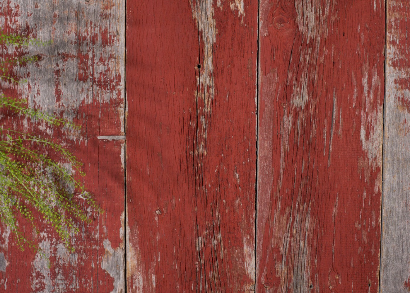 Bardage Monolame Bois Us Campagne Vieilli Peint Rouge Mixte Chant Ancien 15-26x100-200x1200-1800