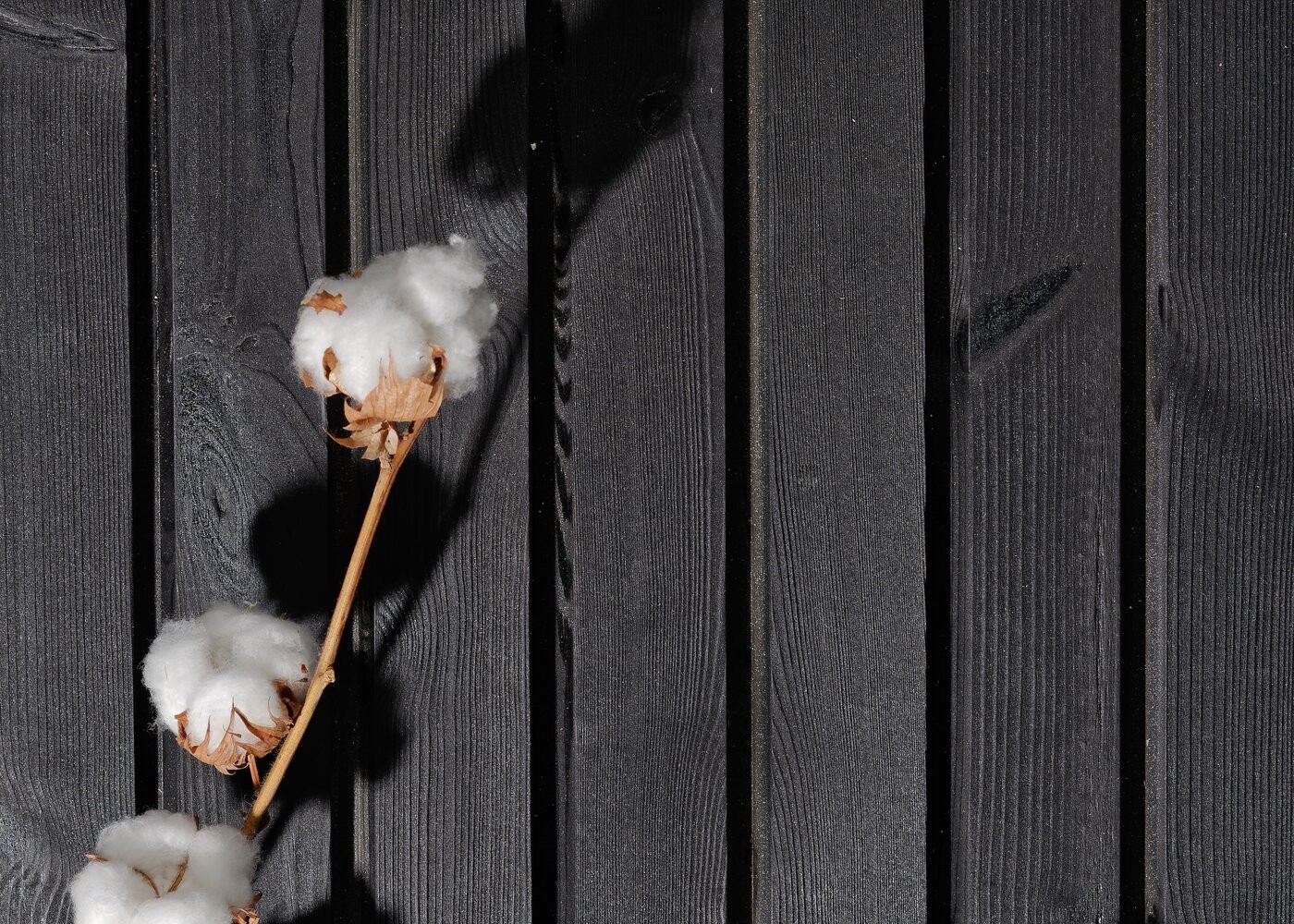 Bardage extérieur Pin du Nord thermo faux claire-voie Birmingham 27x125x4500