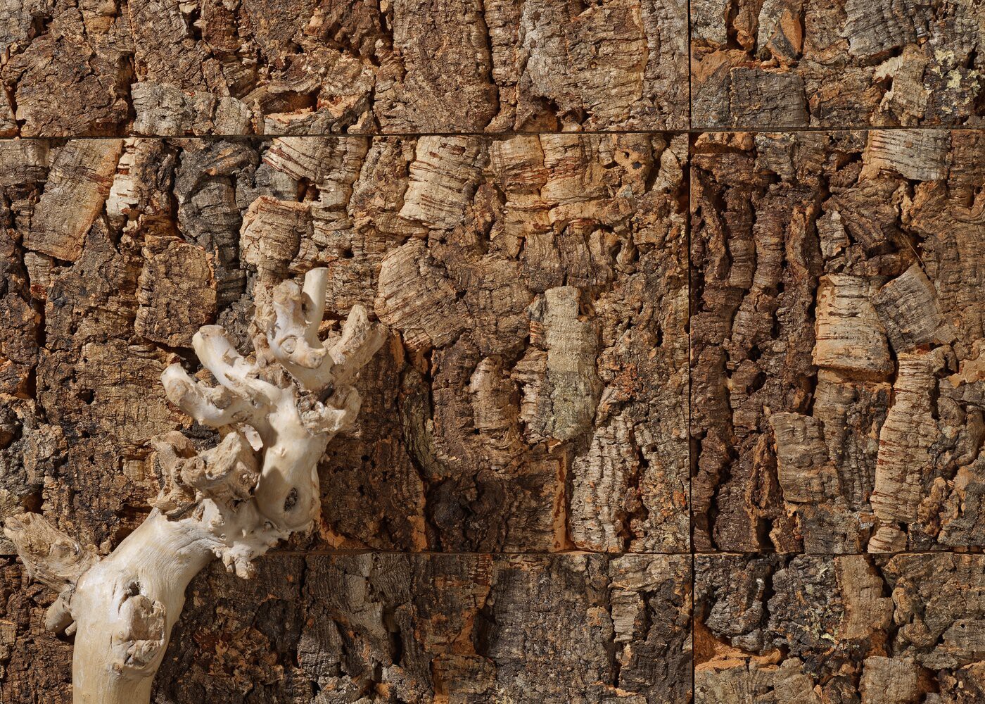 Li&egrave;ge mural Ecorce LAGOS 25-35x300x600