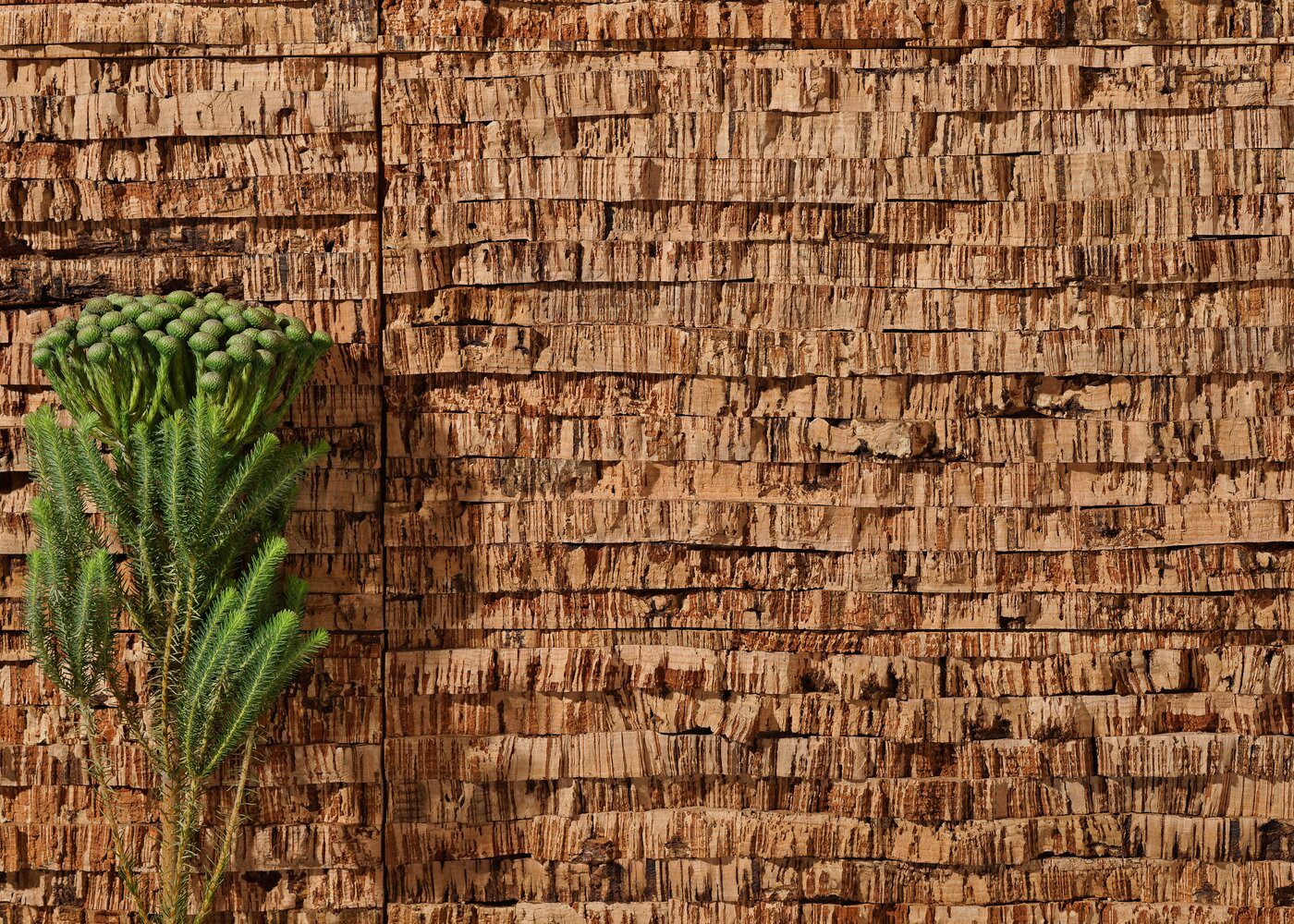 Li&egrave;ge mural Ecorce NAZARE 25-35x300x600