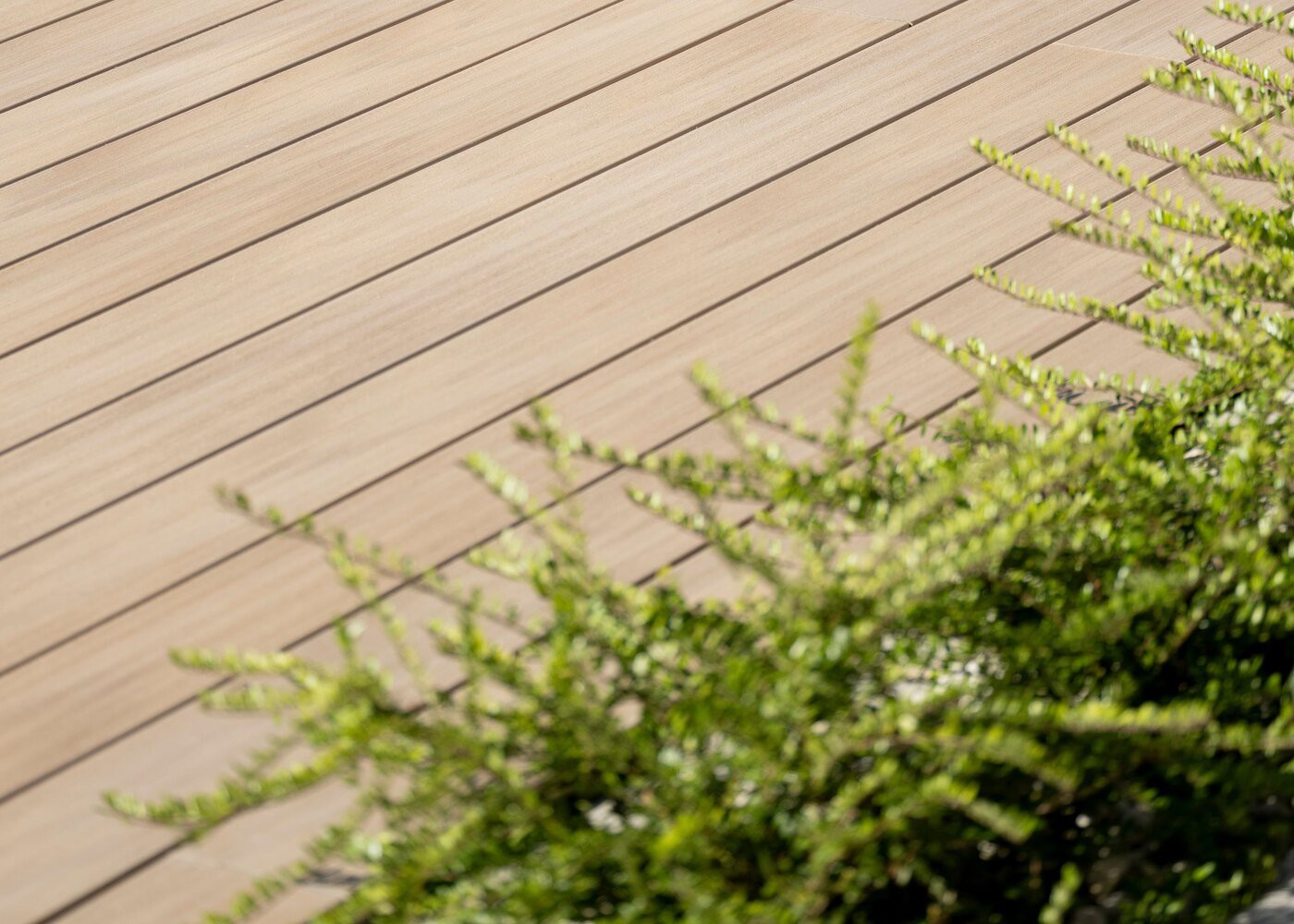 Lame de terrasse bois composite co-extrude bross&eacute; Nuances Ch&ecirc;ne clair