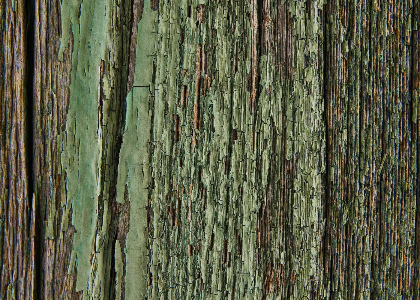 Panneau 3 plis en vieux bois Vert brut 1 face plaquée 26x1250x3000