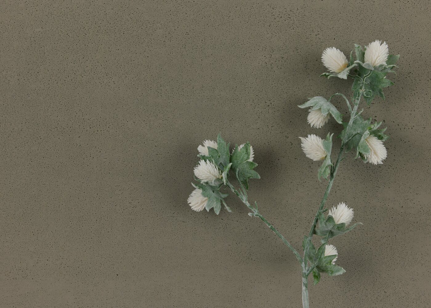 Panneau d'agencement d&eacute;coratif b&eacute;ton Standard Arsenic 7x800x1200