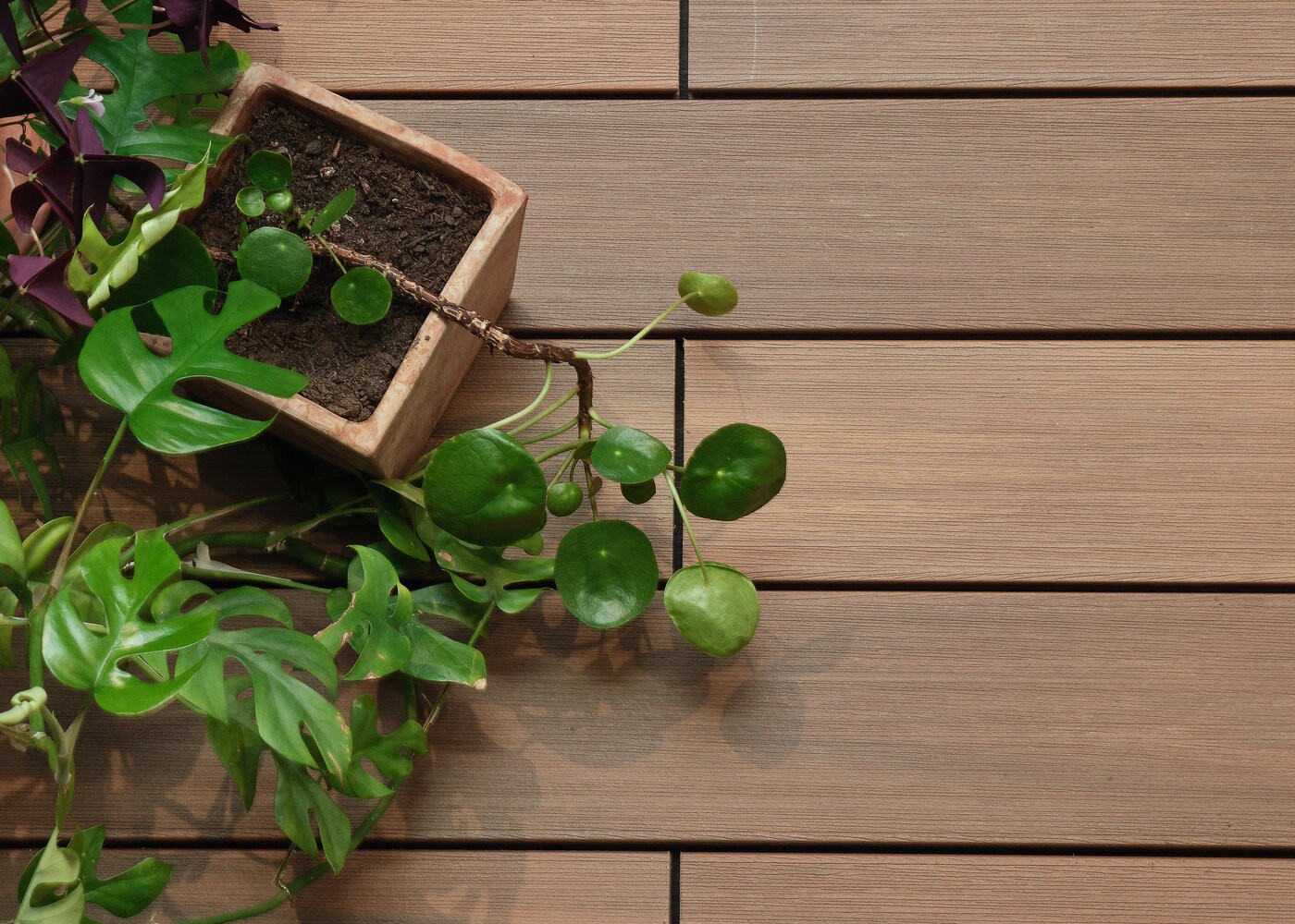 Lame de terrasse bois composite co-extrude bross&eacute; Nuances Ip&eacute;